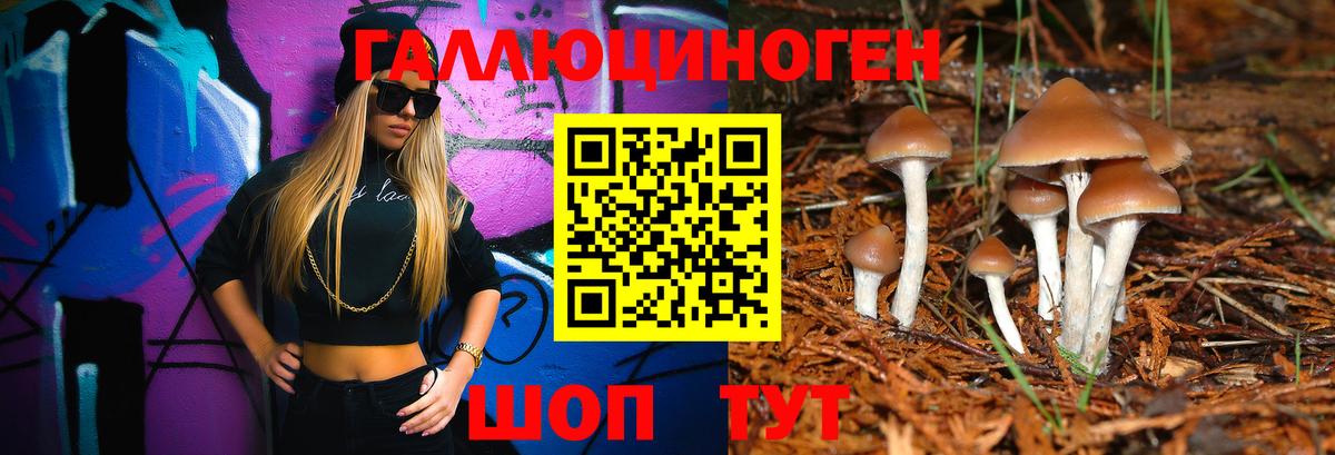 Домодедово  Галлюциногенные грибы Psilocybine cubensis  Вход с VPN 