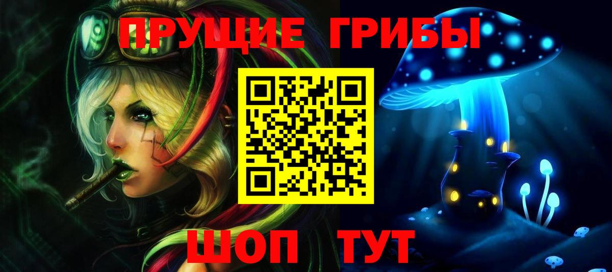 Псилоцибиновые грибы Cubensis Домодедово